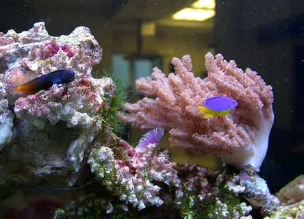 Морские системы