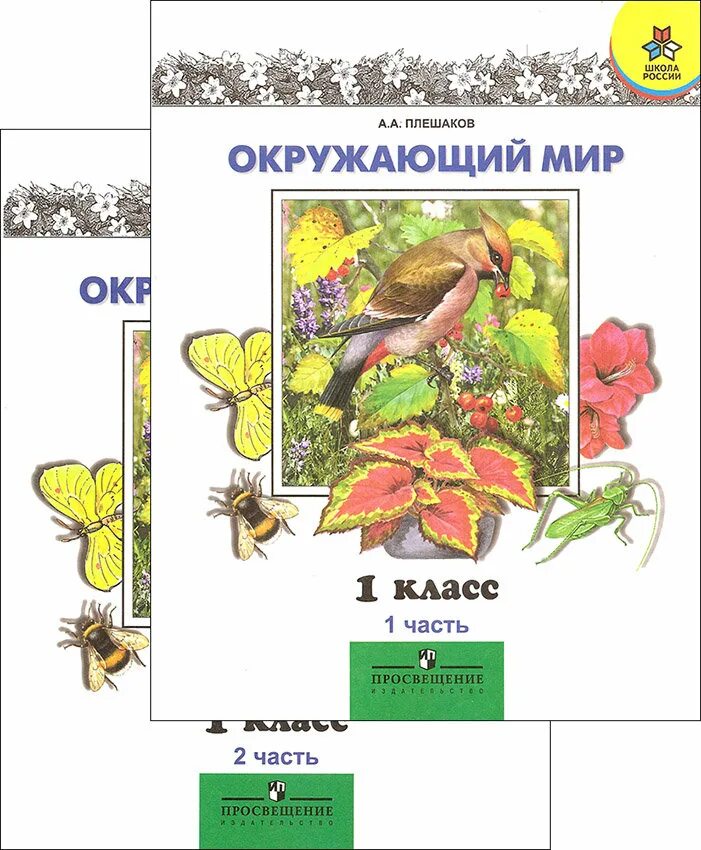 Плешаков окружающий мир 2 часть 1 класс. Окружающий мир Плешаков. Окружающий мир 1 класс школа России. Окружающий мир 1 класс Плешаков. Окруж мир 1 класс Плешаков.