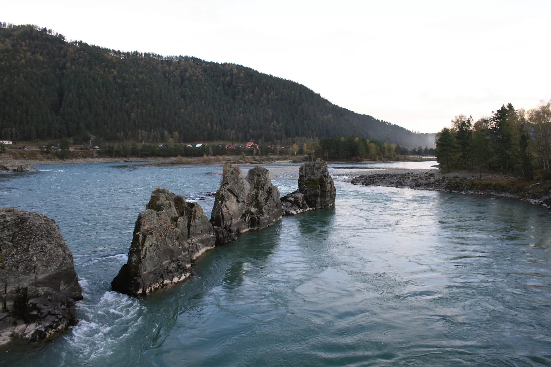 Сростки уровень воды сегодня. Река Катунь Сростки Алтайский край. Берега Катуни в Сростках. Сростки Кмушкина Катуни. Тельдекпень порог на Катуни.