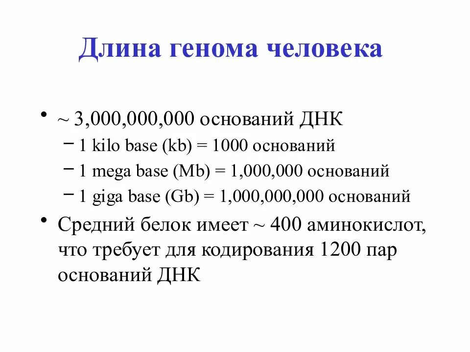 Длина генома. Размер генома. Размер человеческого генома. Объем генома человека.