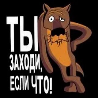 Волк ну ты заходи если что картинка