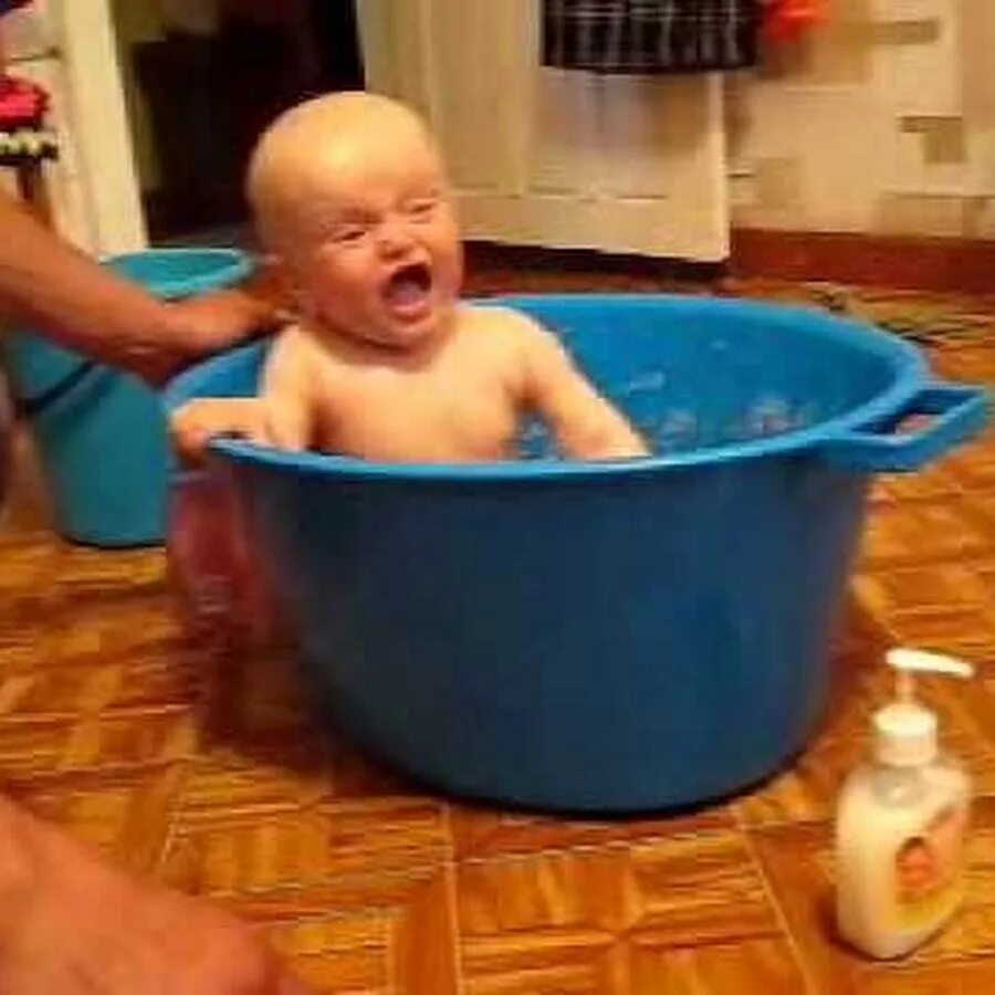 Шлепа кот в ведре. Ребенок в тазике мем. Шлепа в тазике. Шлепа в тазике. Маленькая голенькая в тазике.