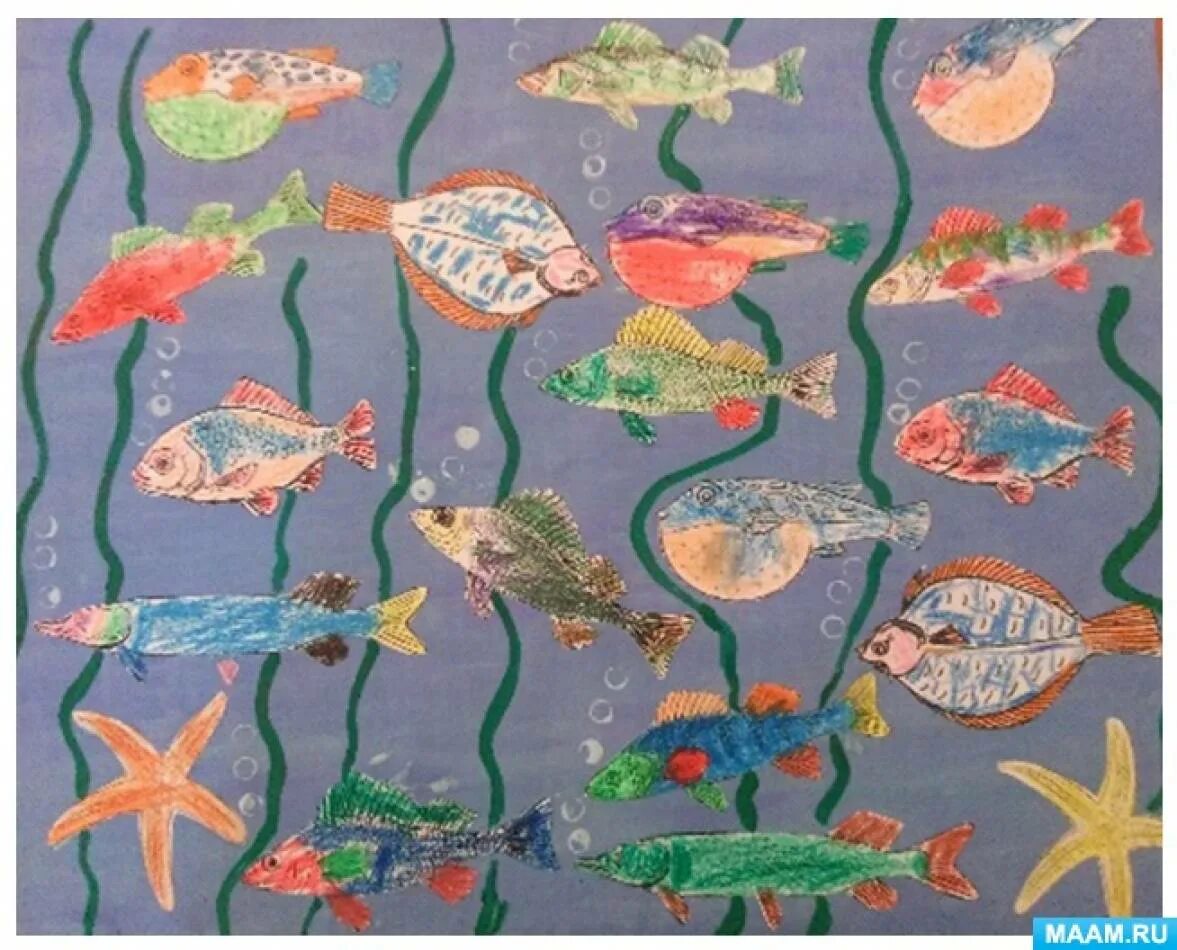 Рисование рыбы в аквариуме в подготовительной группе. Рисование морские обитатели в средней группе. Рисование в средней группе на тему подводный мир. Рисование рыба аквариумная в средней группе.