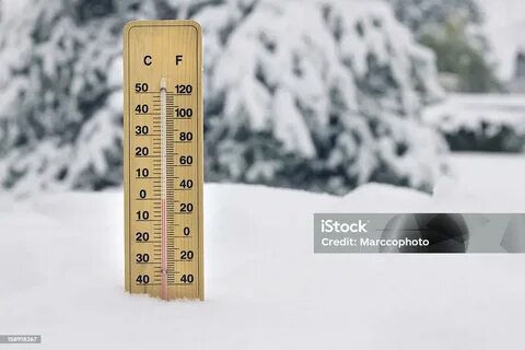 Температура круглый год 25 градусов