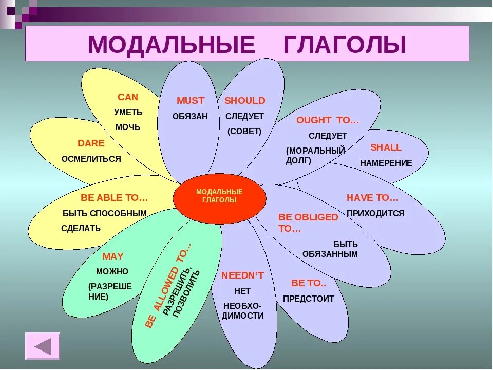 Глагол должен в английском. Модальные глаголы в английском языке Ромашка. Модальные глаголы в английском языке 10 класс. Схема модальных глаголов в английском языке. Употребление модальных глаголов в английском.