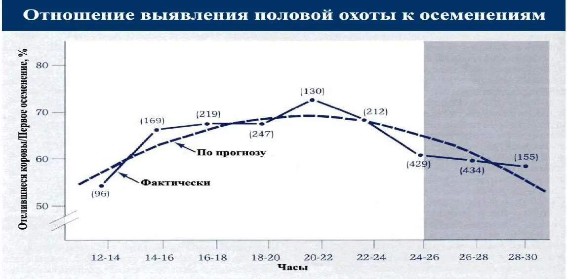 Этапы полового цикла. Стадии половой охоты у коров. Схема полового цикла коровы. Половые циклы животных. Цикл овуляции у коров.