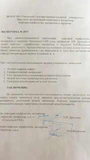 Протокол вскрытия перитонит