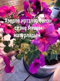 Хэерле март иртэлэре белэн