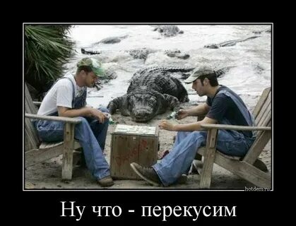 Кто смеет побеждать