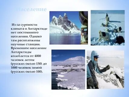 Население антарктиды