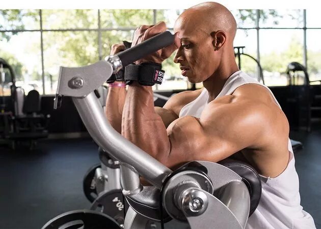 Тренировка рук видео. Силовые упражнения на бицепс. Силовые тренировки. Фитнес упражнения на руки. Тяга гантелей в наклоне.