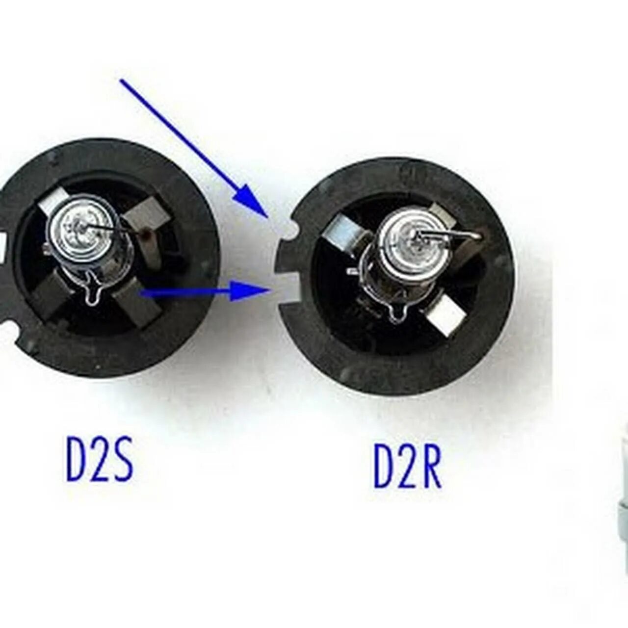 Лампа ксенон d2r d2s. D2r лампы ксенон. Цоколь лампы d2r ксенон. Цоколь d2r d2s отличия.