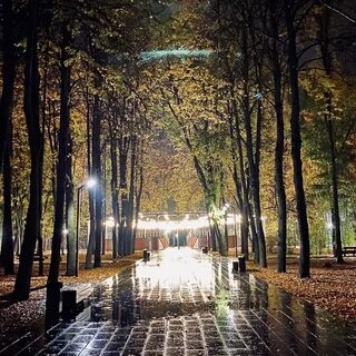 Красиво было в парке