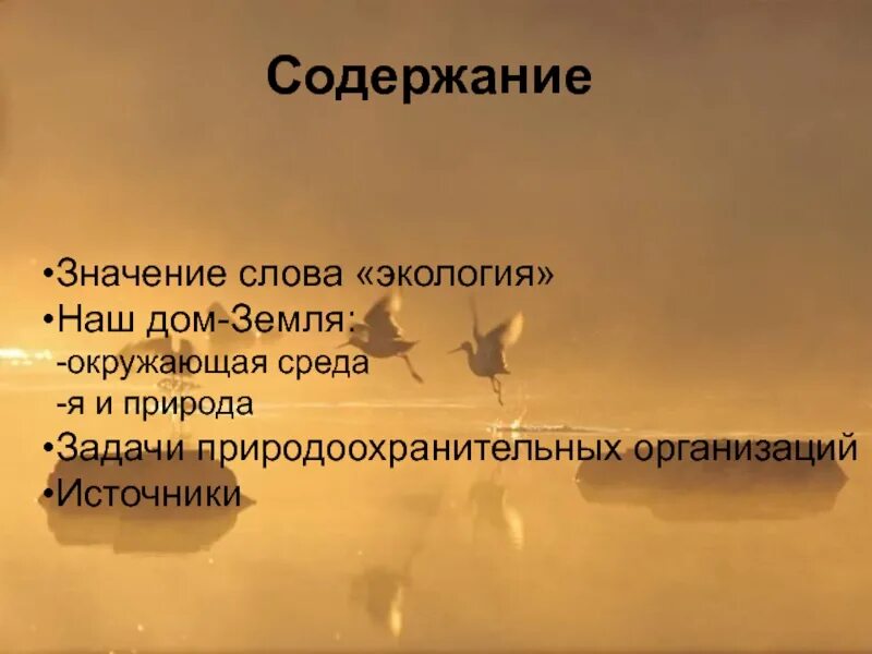 Значение слова экология. Экология слова. Что означает слово экология кратко. Экология происхождение слова. Текст про экологию.