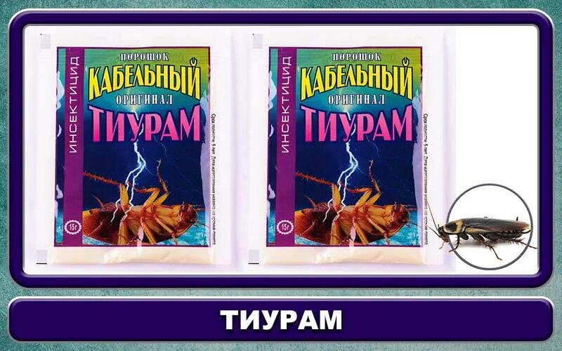 Тиурам от тараканов. Кабельный порошок тиурам. Тигурамипорошок от тараканов. Порошок кабельный оригинал тиурам. Порошок от тараканов тиурам.