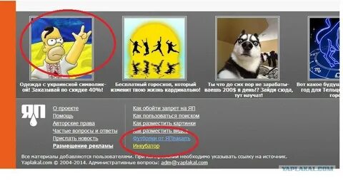 Запрет порнхаб в сша