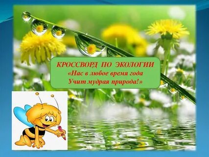 Нас в любое время года учит