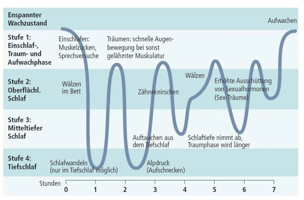 Глубокий сон. Фаза глубокого сна. Rem фаза сна. Stages of Sleep. Прохождение 3 глубокий сон