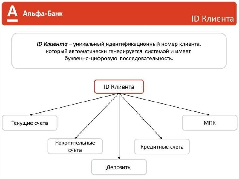 Кредитные продукты альфа банка. Структура клиентов Альфа банка. Альфа банк услуги для физ лиц. Организационная структура банка Альфа банк. Организационная структура Альфа банка схема.