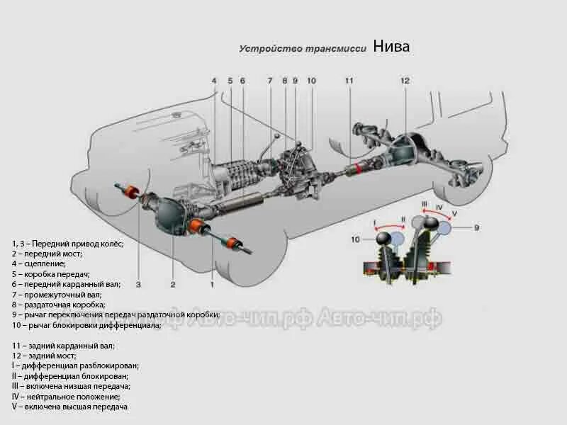 схема трансмиссии нива 21213. трансмиссия ваз нива. трансмиссия ваз нива. трансмиссия нивы chevrolet. кпп нива шевроле 2121.