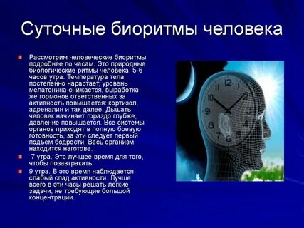 Внутренние часы