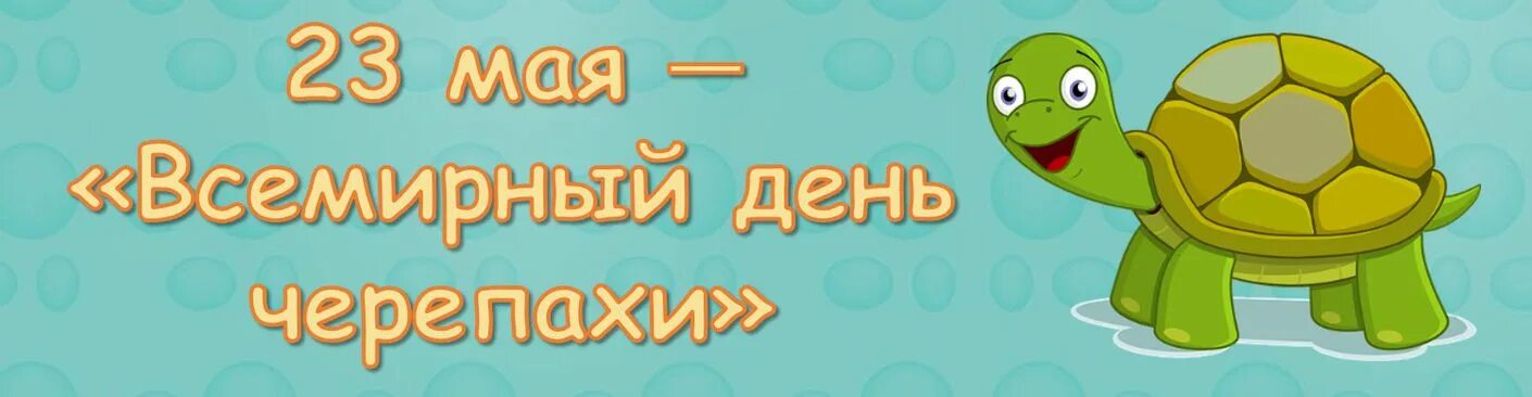 23 мая 2023 г. 23 Мая день черепахи праздник Всемирный. Всемирный день черепахи. Всемирный день черепахи 23. Всемирный день черепахи праздник.