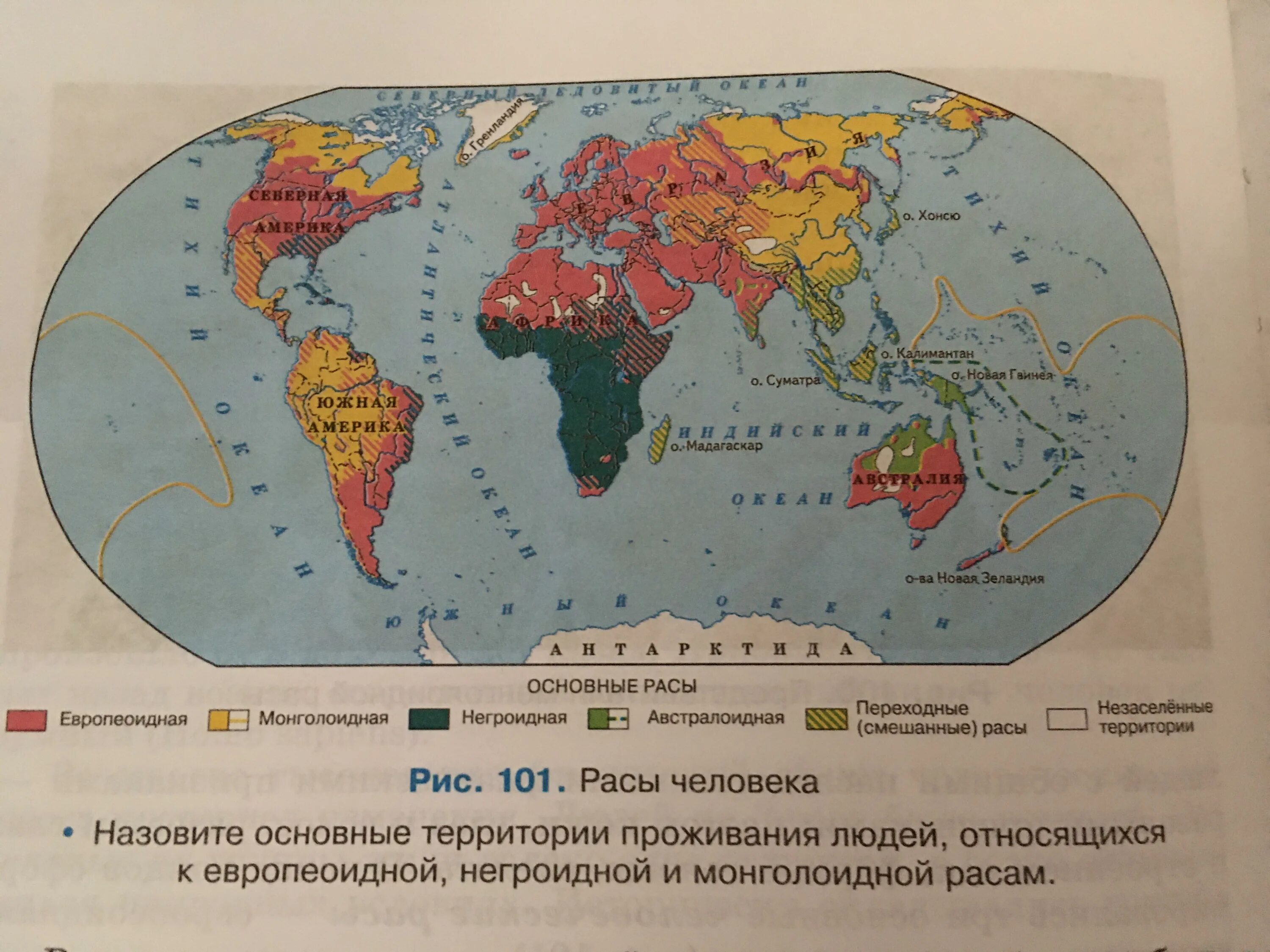 Самая многочисленная раса на земле. Какие материки 4 класс. Укажите какая из рас наиболее древняя а какая наиболее молодая. К какой расе относится отноиталия. Народы населяющие материк