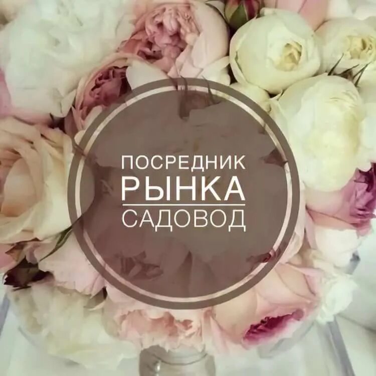 Закупка 33. Посредник рынка Садовод. Посредник Садовод 20%. Посредник рынка Садовод 10. Картинка посредник рынка Садовод.