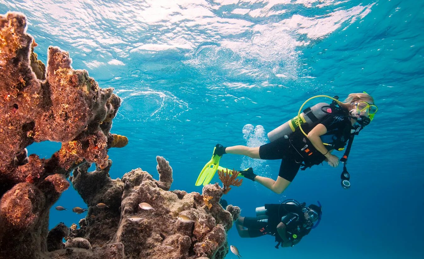 Sea dive. Мыс Тарханкут дайвинг. Дайвинг Оленевка Тарханкут. Оленевка Крым дайвинг. Дайвинг Крым Тарханкут.