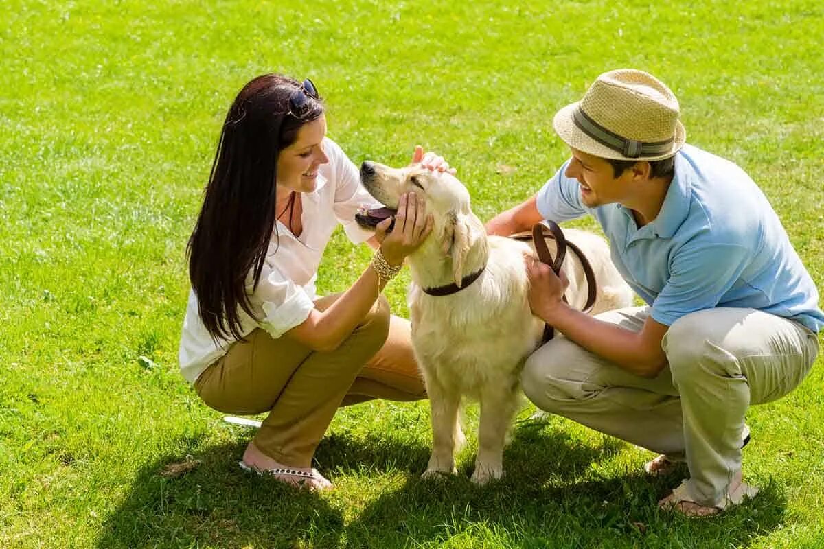 Dog has woman. Домашние животные и человек. Хозяин собаки. Человек с собакой. Домашние животные с хозяевами.