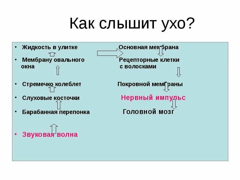 Как слышит ухо схема. Схематично как слышит ухо. Как слышит ухо таблица. Как слышит ухо кратко. Звуки это то что слышит ухо грамматические