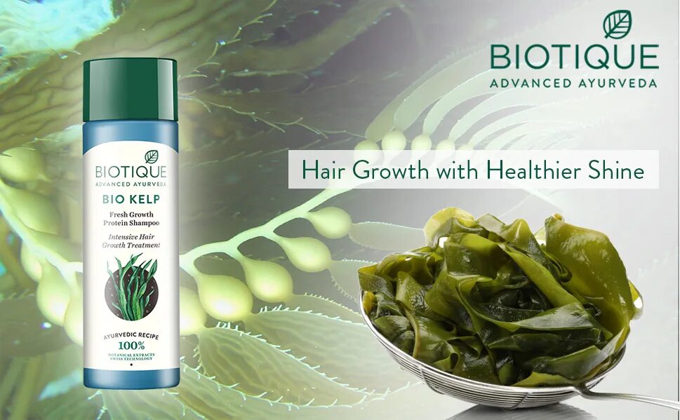 Биотика фуд. Bio Kelp Protein Shampoo. Крем для лица Биотик. Kelp 325 мкг. Kelpseawed шампунь для жирных волос.