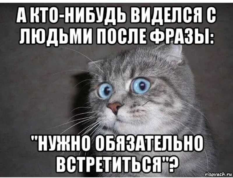 Картинки надо. Кто нибудь встречался после фразы надо обязательно. Мем надо как нибудь встретиться. Кто нибудь виделся с людьми после фразы надо обязательно встретиться. Надо встретиться картинки.