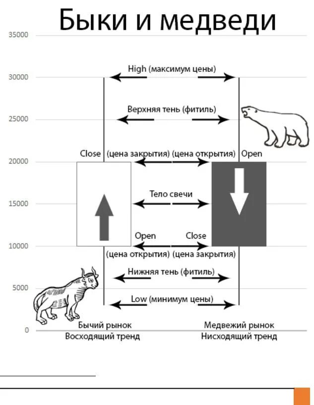 Что такое бычий рынок. Медвежий рынок и бычий рынок. Цикл бычьих и Медвежьих рынках. Бычий цикл на рынке. Схема Медвежий рынок и бычий рынок.