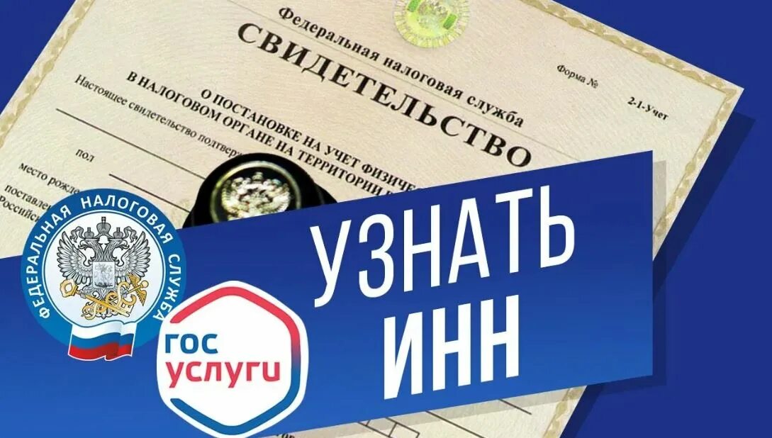 Получить российский инн. ИНН картинки. ИНН госуслуги. Номер ИНН. Номер налогоплательщика.