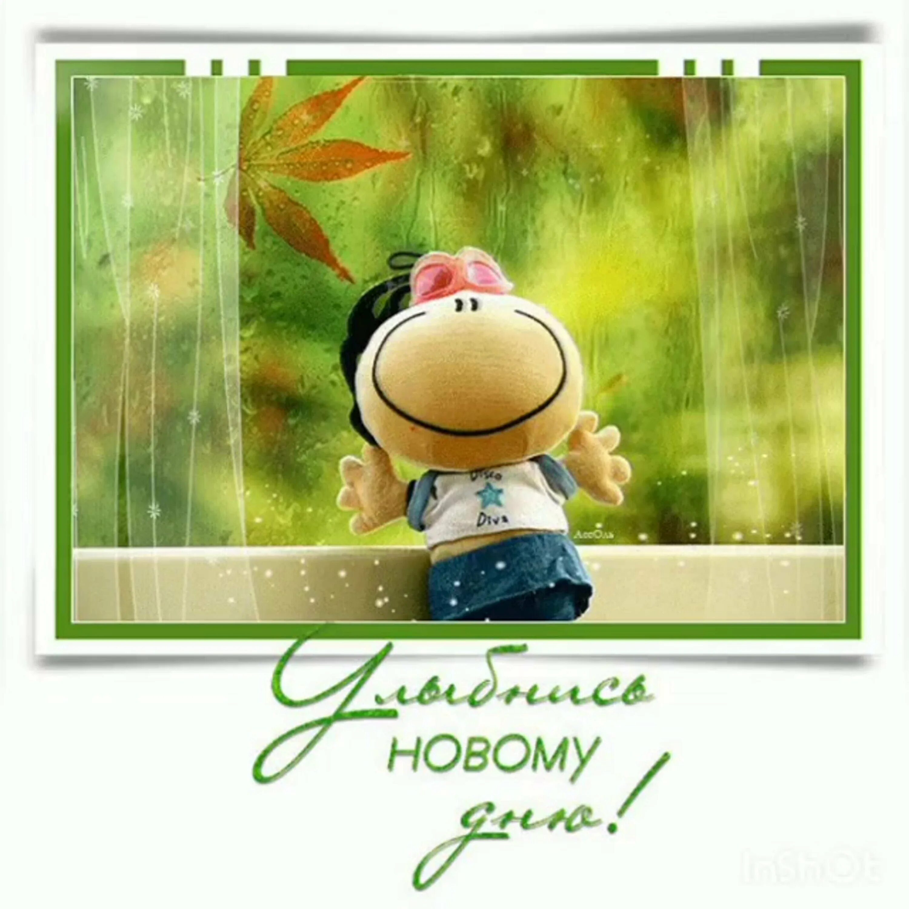 открытки привет прикольные. высказывания про девочек. ну скажи. солнечного радостного дня. открытки ну здрасте вам.