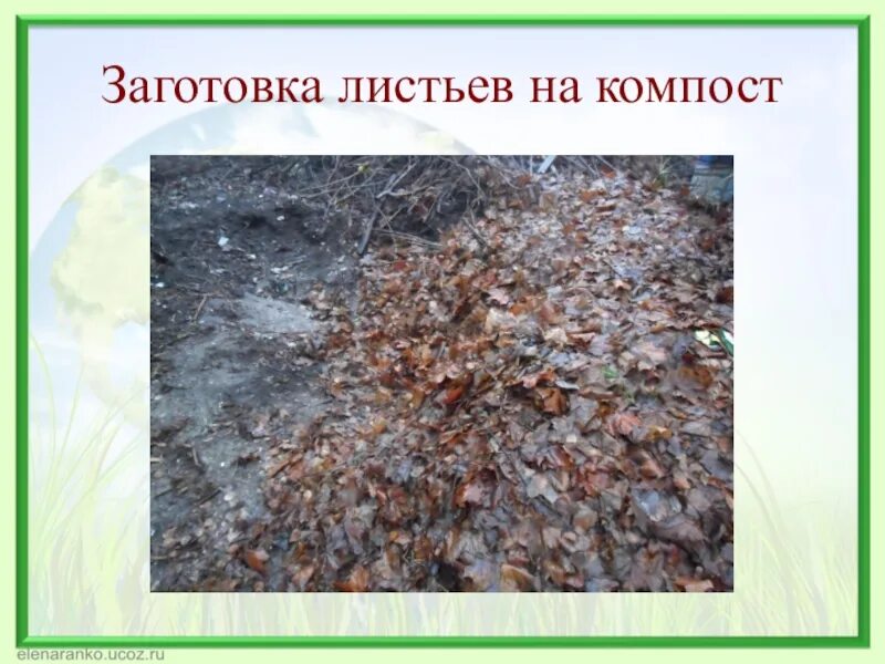 Листовая земля где. Листовой грунт. листовой перегной. листовая почва. листовая земля.
