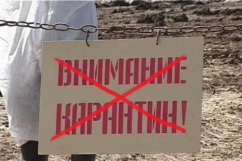 Карантин по бешенству в москве 2024