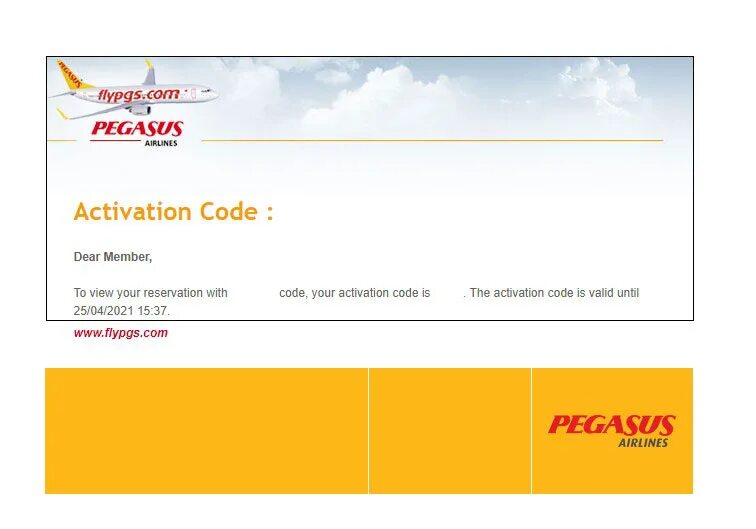 Пегасус купить авиабилеты на официальном сайте. Pegasus Airlines купить билет. Билет на самолет Пегасус. Билет Пегасус.