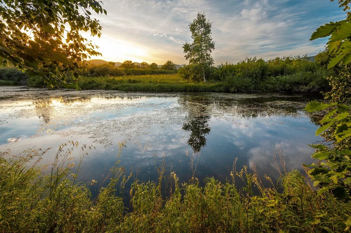 Речки ру. Серебрянка (приток Хапиловки). Река Серебрянка в Пушкино. Река Тарбуга. Река Серебрянка в Измайлово.