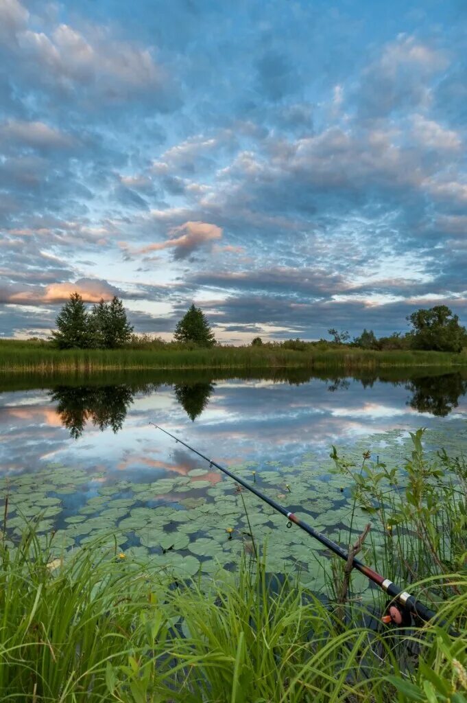 Природа рыбалка. Красивая природа рыбалка. Озеро с удочкой. Красивые пейзажи на рыбалке. Рыболовный в озерах