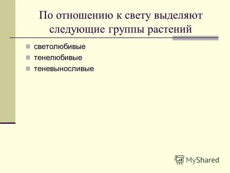 По отношению к свету. Растения по отношению к освещенности. Растения по отношению к свету делятся. Группы растений по отношению к свету. По отношению к свету.
