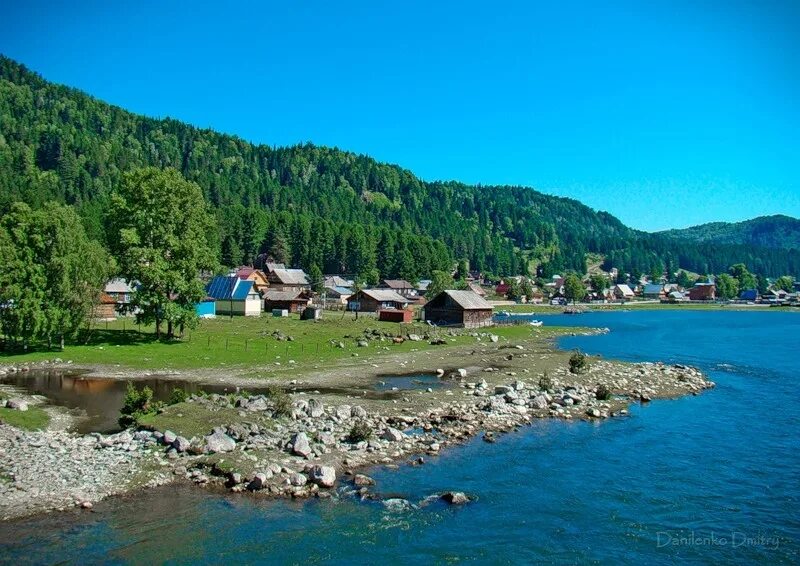 Артыбаш. Артыбаш речка артыбаш золотая. Телецкое озеро деревня. Иогач горный алтай. Иогач горный алтай.