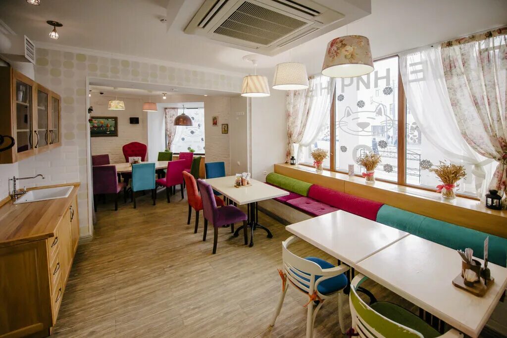 пшеничный кот кафе владимир. пшеничный кот кафе. владимир большая московская улица 19 пшеничный кот. кафе-кондитерская «пшеничный кот». пшеничный кот кафе.