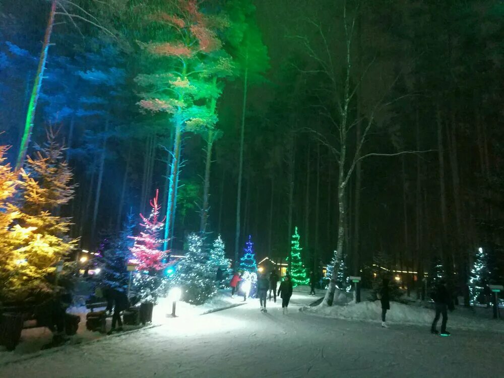 Лесной каток в охта парке спб. Охта парк санкт петербург отзывы. Охта-парк санкт-петербург лесной каток. Каток в лесу санкт-петербург охта парк. Охта парк санкт петербург отзывы.