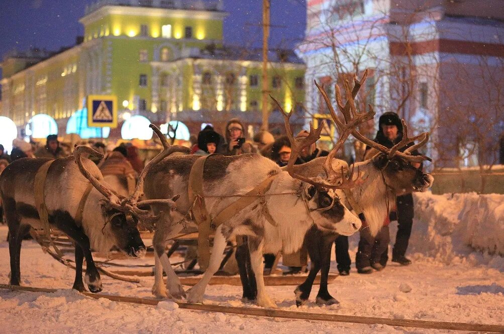 Означает слово аргиш. Большой Аргиш Норильск 2020. Норильск праздник большой Аргиш. Праздник Аргиш в Норильске. Дудинка Аргиш.