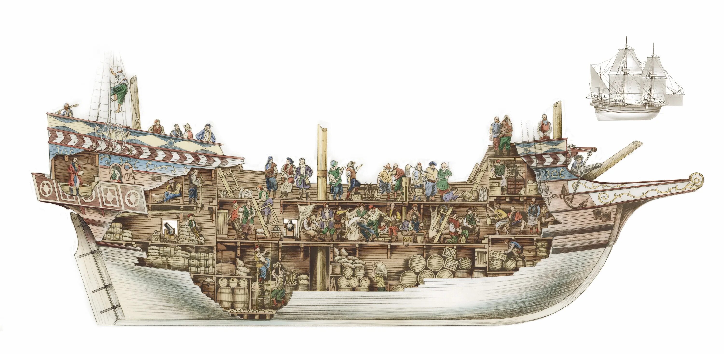 Anatomy ships