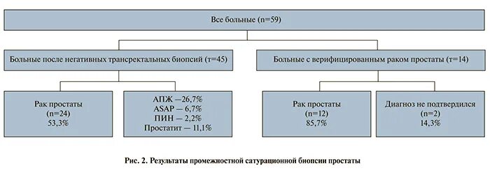 Результаты биопсии предстательной железы. Протокол биопсии предстательной железы. сатурационная биопсия простаты.