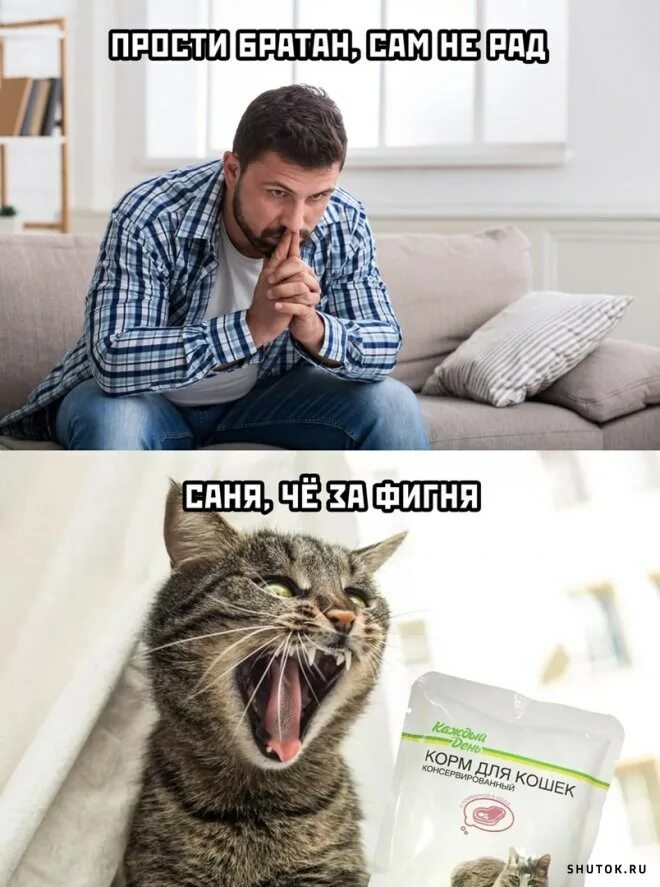 Последнее смешное