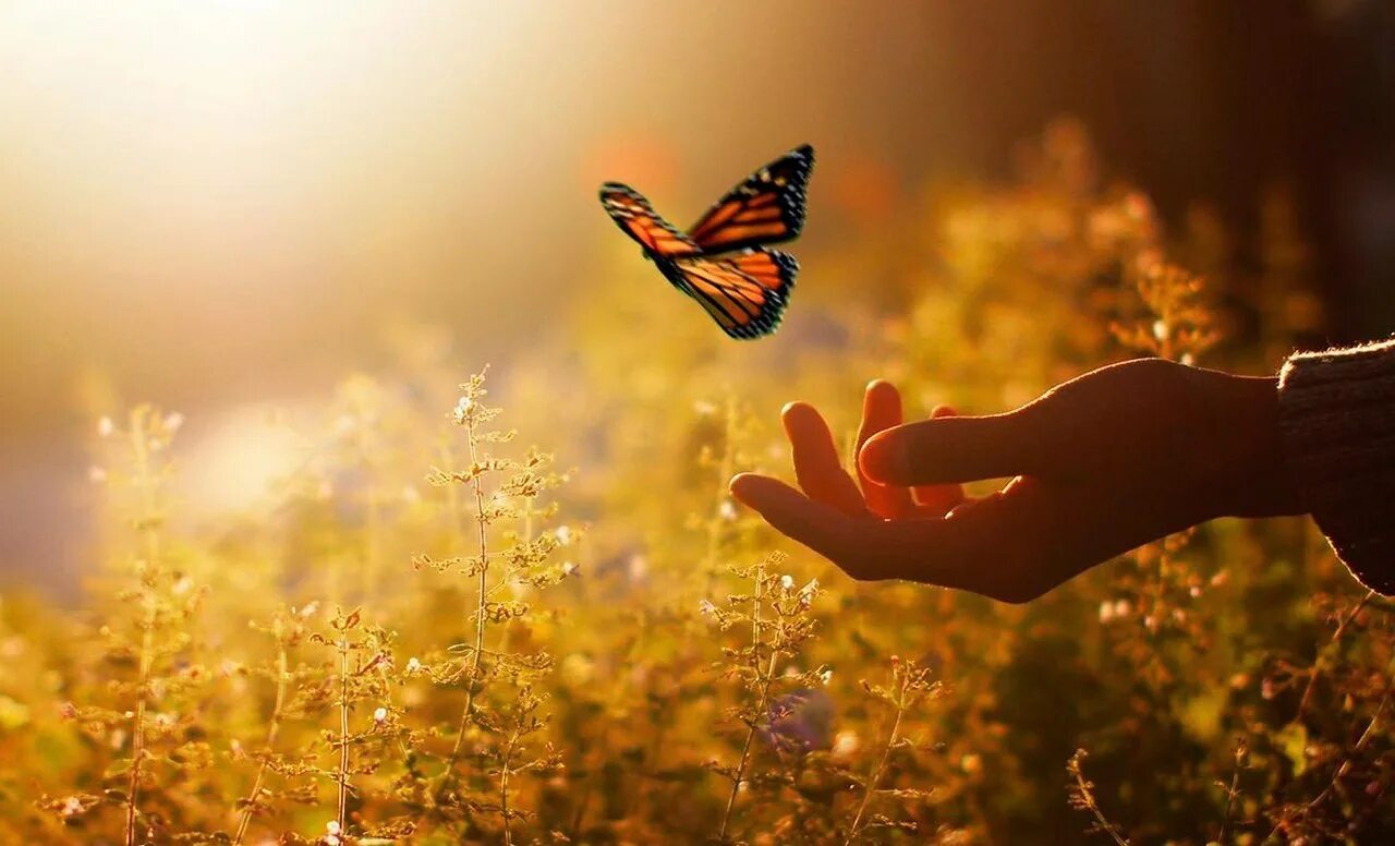 Теплые дни чудо. Теплые дни чудо. Светлая душа. Открытка радоваться жизни зимой. Теплое солнце.